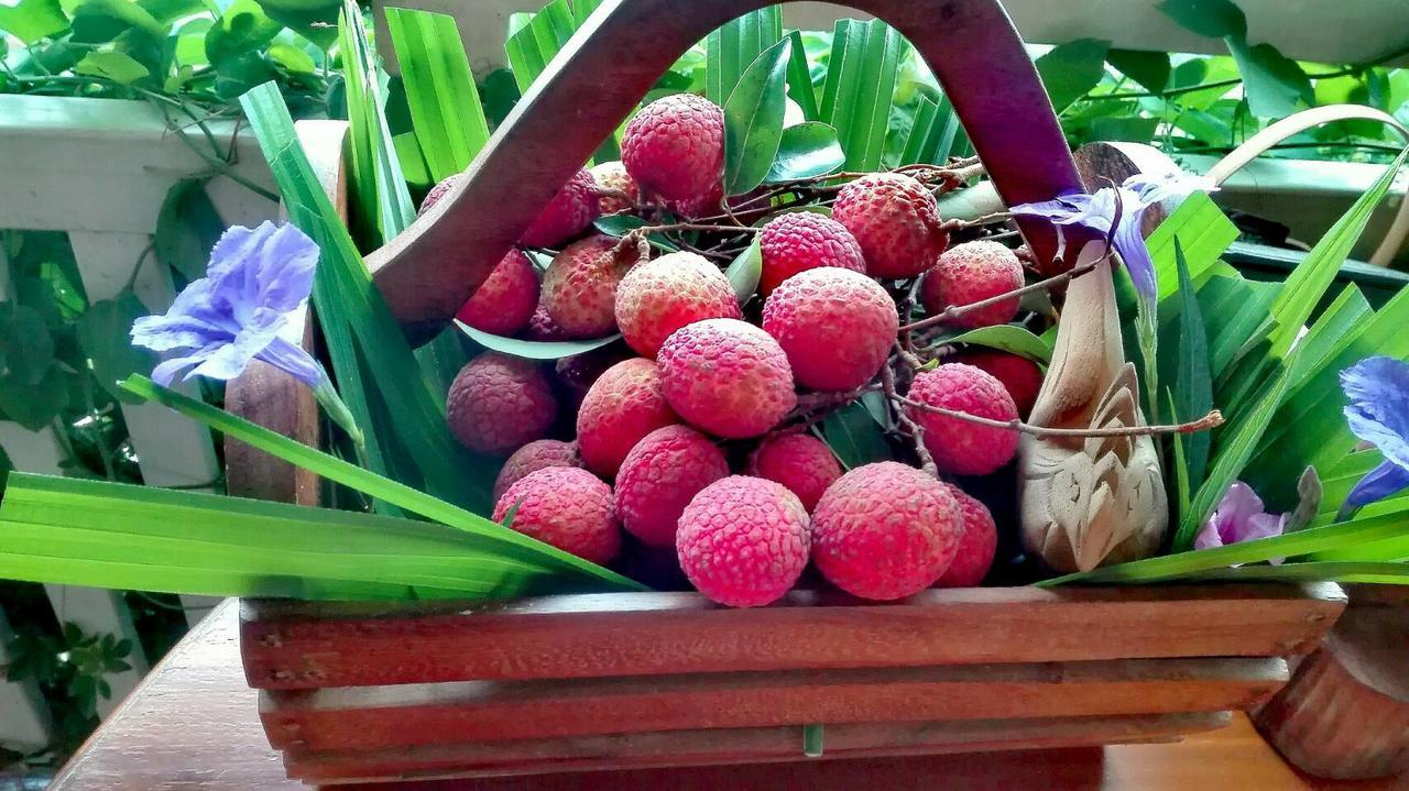 बिस्तर और नाश्ता Lanna Lampang
